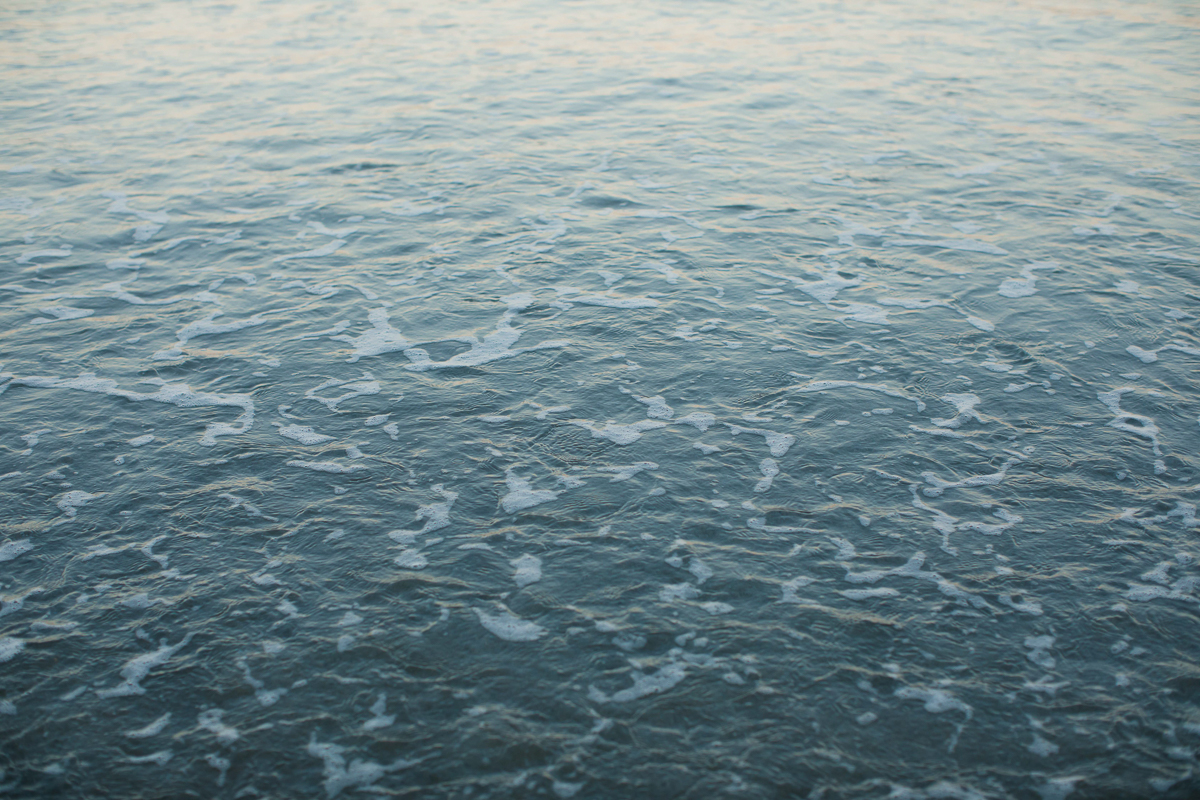 Tauranga_Family_Photos